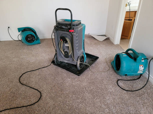 Best Water damage restoration specialists  in Todd Creek, CO