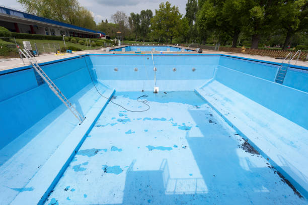 Best Local water damage restoration  in Todd Creek, CO