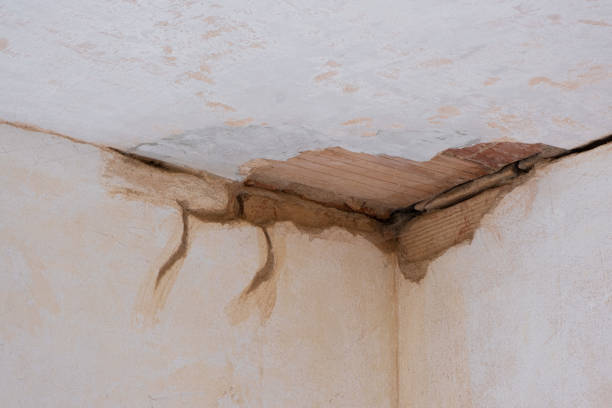 Reliable Todd Creek, CO Water damage restoration Solutions