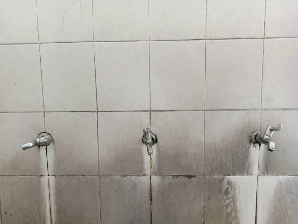 Best 24-hour water damage restoration  in Todd Creek, CO