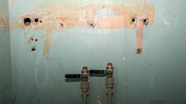 Best Water damage restoration near me  in Todd Creek, CO