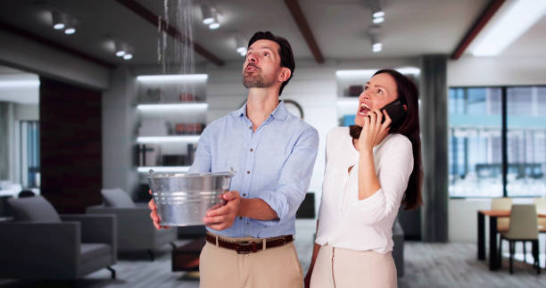 Best Water damage mitigation services  in Todd Creek, CO